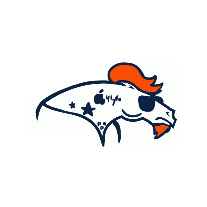 Denver Broncos Hipsters Logo iron on transfers